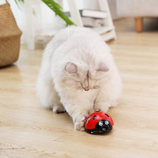 

cat toys jormel catch me if you can super fun toy, battery-operated pet toy