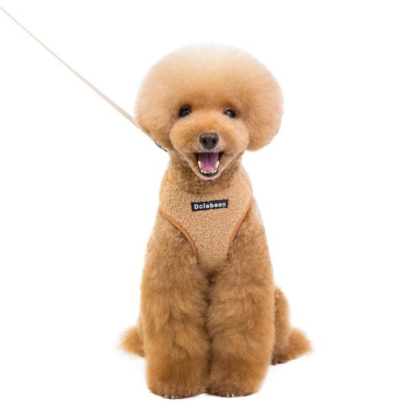 

dog collars & leashes 2021 adjustable pet cat traction fashion soft and comfortable chest strap harnais pour chien
