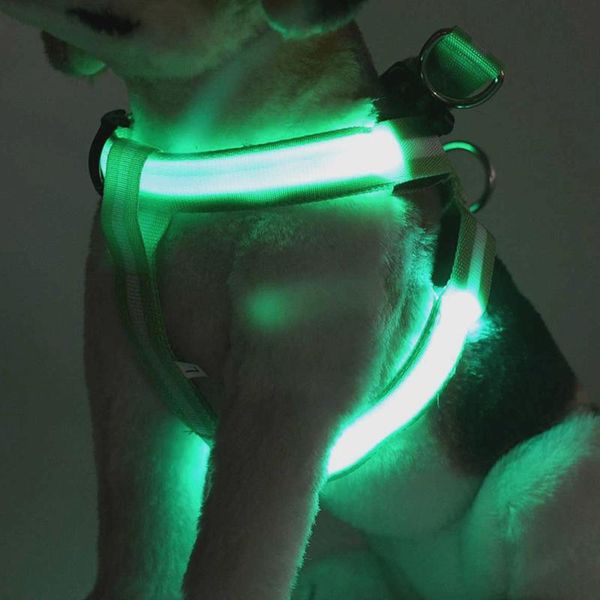 

luminous collar dog rechargeable led nylon leash pet products for supplies dogs pets accessories collars & leashes