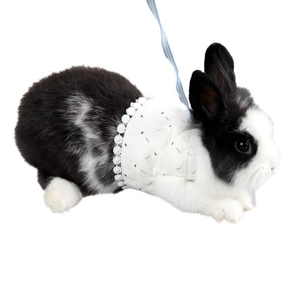 

ferrets guinea pig vest hoodie small pet clothes outdoor traction leash rope rabbit harness leash set hamster mouse costume