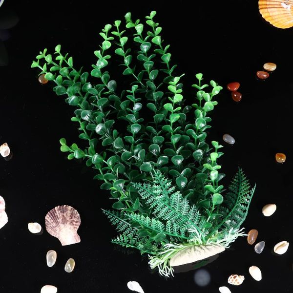 

fish tank water plant beautiful grass ornament aquarium landscape decor decorations