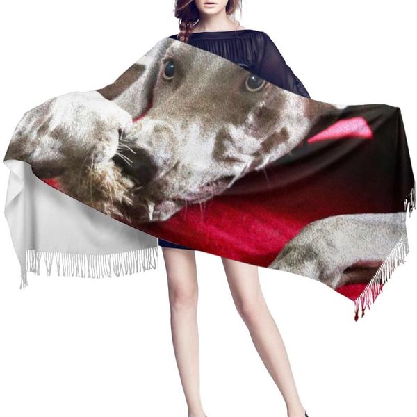 

scarves fighting dog women cashmere beach scarf spring summer thin pashmina shawls and wrap female foulard hijab stoles, Blue;gray