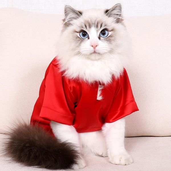 

spring and summer costume colorful cool cat t - shirt thin non stick wool silk japanese wind clothing clothes hoodies costumes