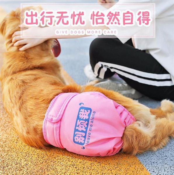 

dog apparel male pants panties nappy diaper hygiene female menstrual heat menstruation majtki dla psa pet underwear xx60dp