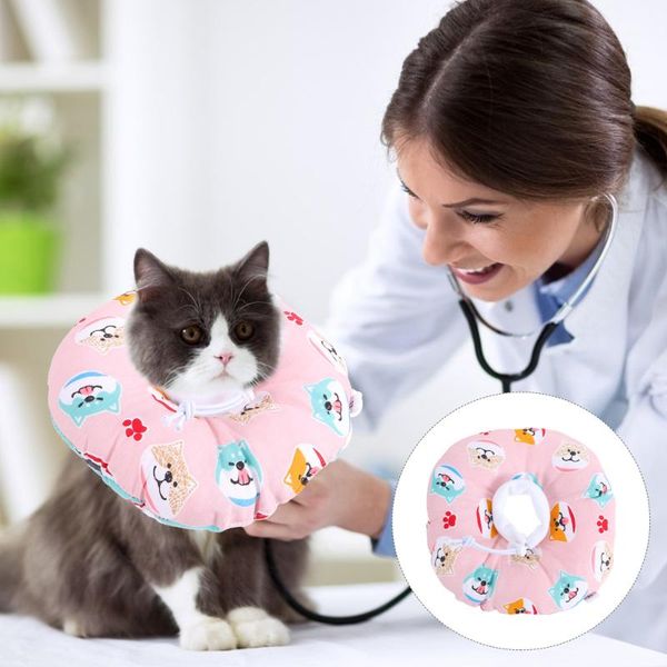 

pet cat kitten after neck collar small puppy recovery cone collars & leads