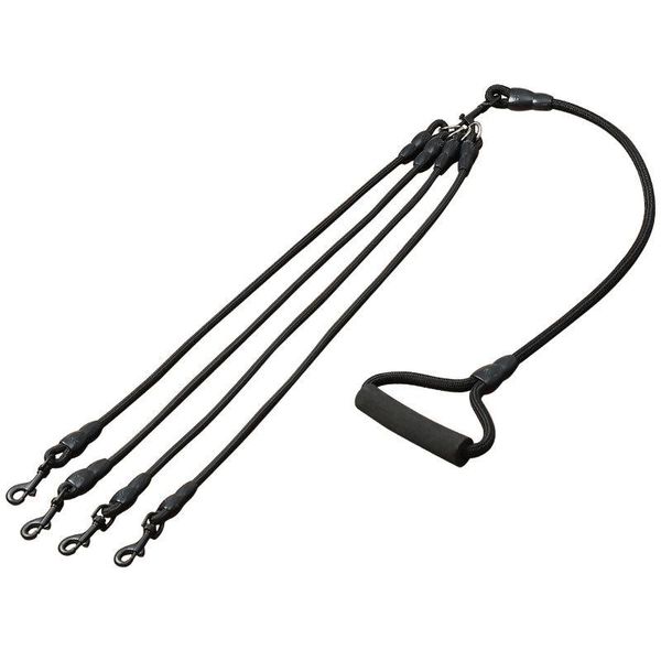 

dog long leash pet walking one to two three small samoyed collars & leashes