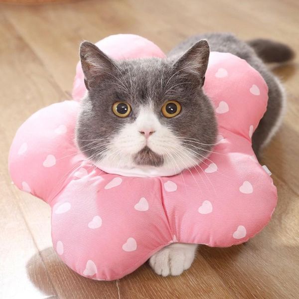 

cat collars & leads collar cotton pet dog neck cone recovery for lick wound healing protective sunflower elizabeth