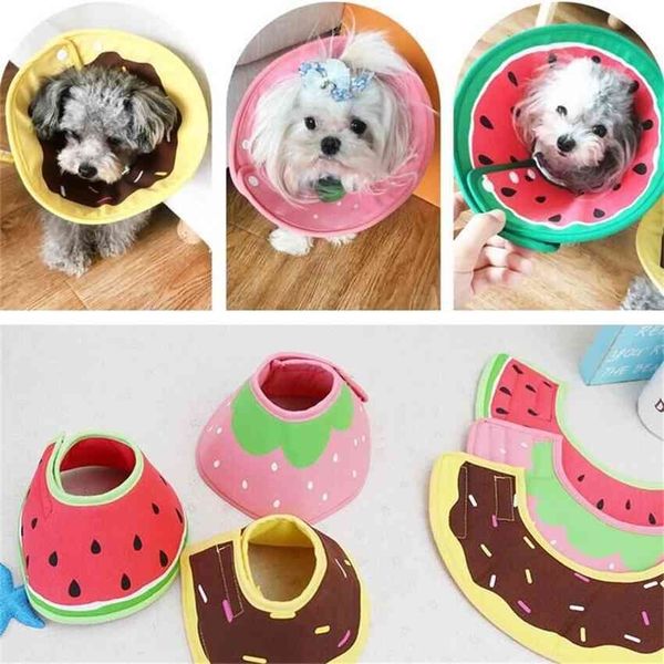 

factory dog elizabeth headb small medium sized dog biting pet anti licking and scratching cat collar qawy