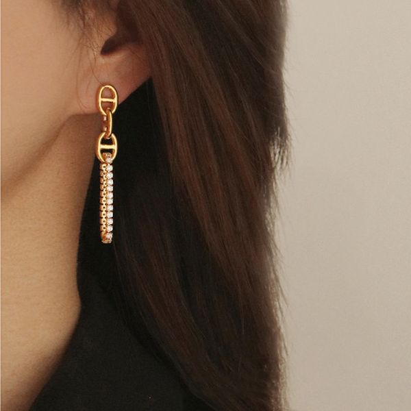 

pig nose lady earrings tassel zircon chain 2021 korea temperament long fashion niche female trendy accesory, Golden