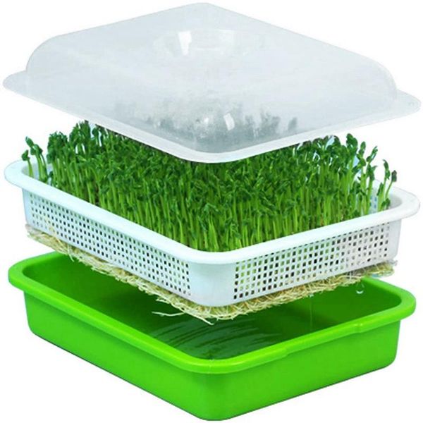 

planters & pots seed sprouter tray with lid bpa bean sprout grower sprouting seeds tray, dirt way and big capacity