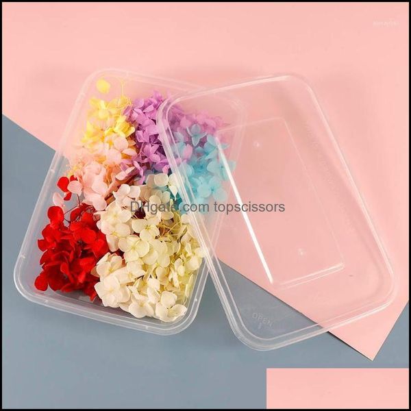 

decorations salon health & beauty1box colorful diy dried flower for nail art decration candle making craft aessories manicure tools decorati, Silver;gold