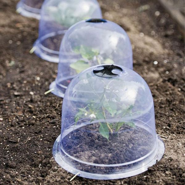 

planters & pots 5pcs garden cloche dome plant bell cover plastic greenhouse seed germination protector frost guard anti-e protection co