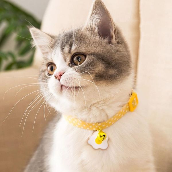 

cat collars & leads adjustable pet dog necklace collar for kitten safety breakaway floral puppy chihuahua with pendant