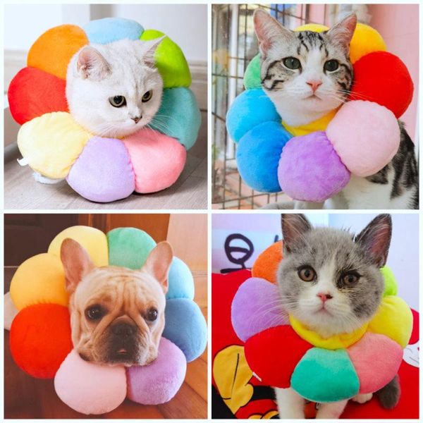 

cat collars & leads collar pet protective for dogs cats wound healing protection elizabethan anti-bite recovery circle
