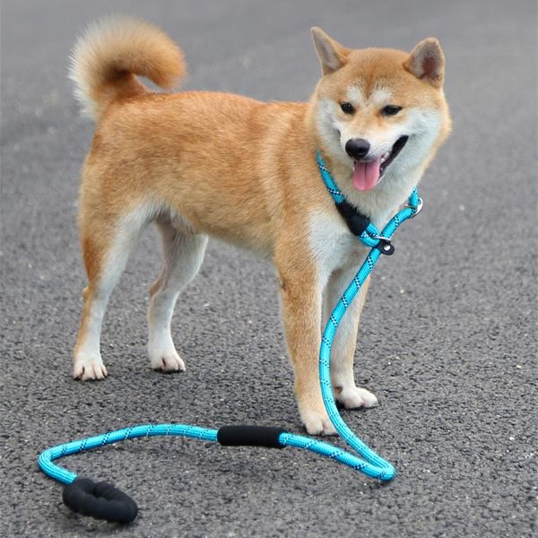 

1.2m 1.5m 1.8m 2.6m detachable dog p leash nylon pet training chain slip reflective adjustable collar collars & leashes