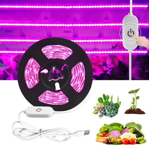 

strips full spectrum 5v usb led grow light phyto lamp 1m 2m 3m growing strip fitolampy for plants tent