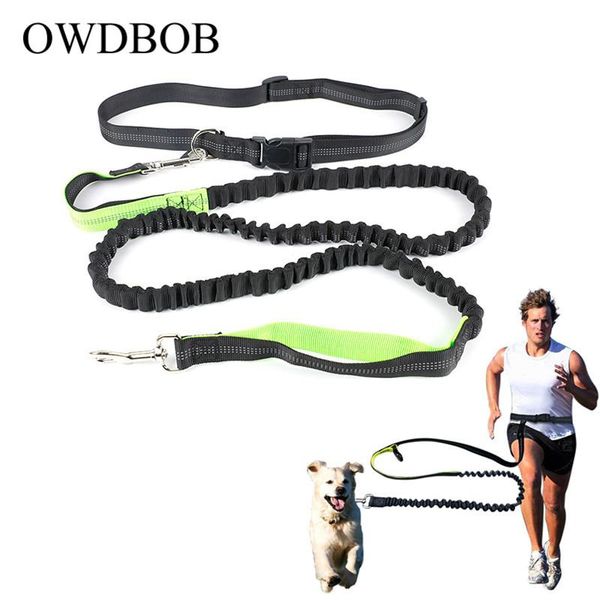 

dog collars & leashes elastic waist leash for running jogging sports training retractable hands lead with reflective strip
