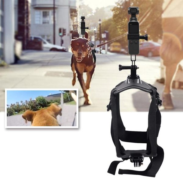 

dog collars & leashes pets harness mount adjustable chest strap shoot picture and video for insta360 one x/evo action camera pet supplies