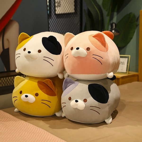 

cute round plush doll fat house cat big pillow doll