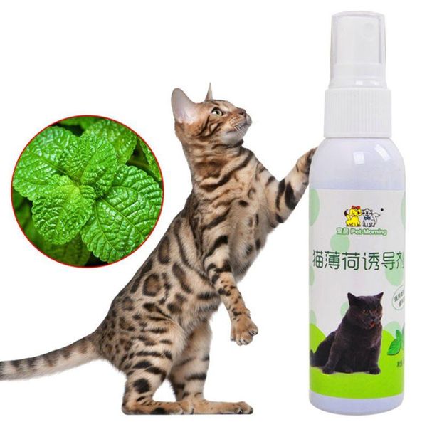 

cat toys catnip pet training toy natural healthy mint funny scratch spray