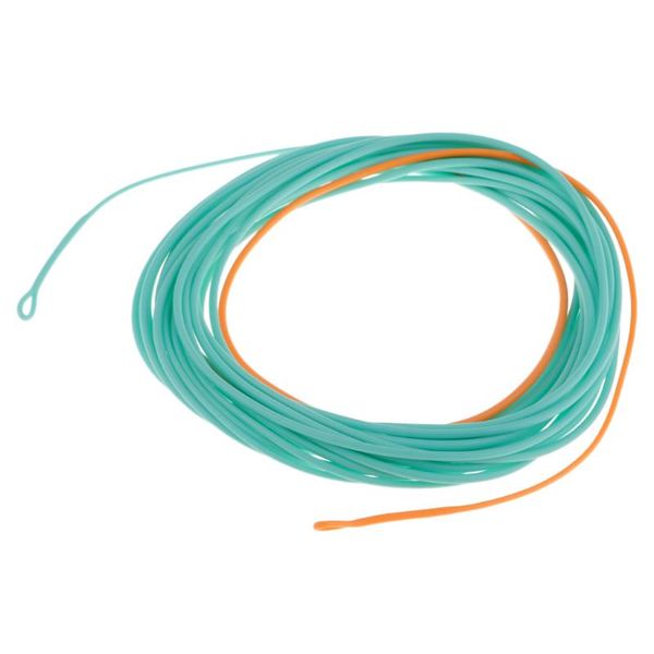 

blue skagit shooting head line 200gr-650gr 17ft-25ft with 2 welded loops braid