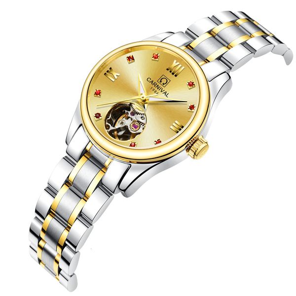 

luxury automatic mechanical make women's watches fashion sapphire glass waterproof watch luxury 316l steel, Slivery;brown