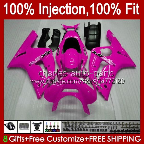 Bodys de Molde de Injeção para Kawasaki Ninja ZX 6R 600 CC 6 R ZX-6R ZX6R 03 04 Bodywork 8no.58 ZX 636 600cc ZX636 03-04 ZX600C ZX600 ZX-636 2003 2004 OEM Jogo de Feira Rose Stock