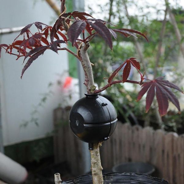 

plant high pressure box grafting cutting plants outdoor reproduction for indoor rooting asexual l7e1 planters & pots