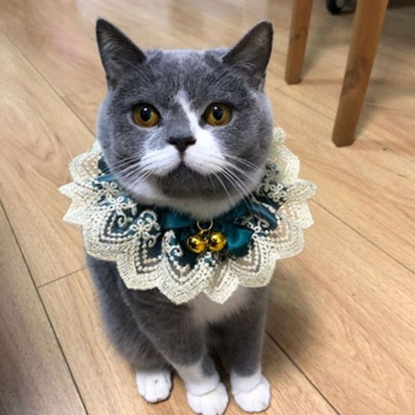 

cat costumes pet bib fashion cute style necklace scarf puppy adjustable collars lace flower with bell for small middle dog kitten