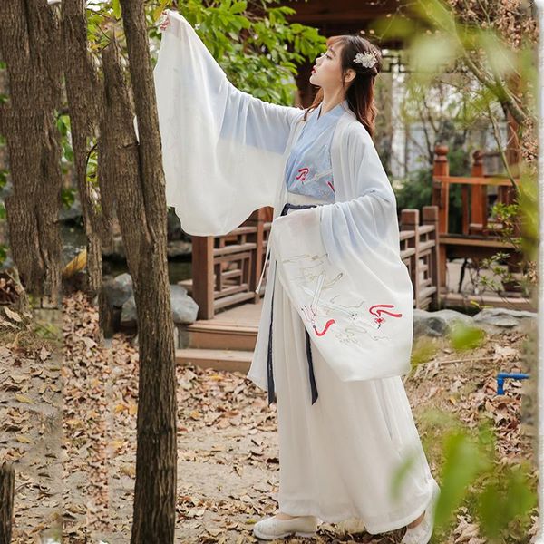 

hanfu embroidered adults national show clothing women men qing dynasty chinese style white traditional costume festival 4xl women's tra, Gray