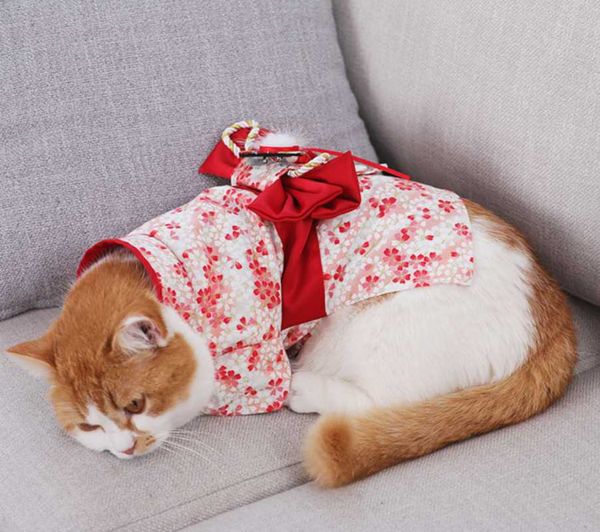 

cat costumes clothes small cats vest casual warm kitten shirt dog coat