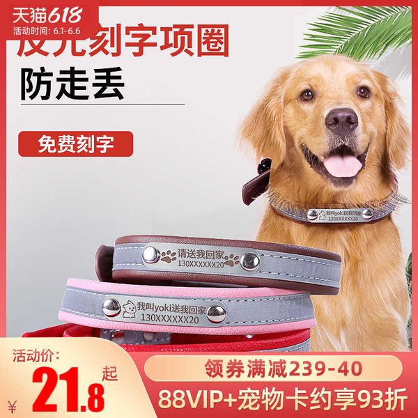 

big lettering medium sized big tag lose proof chai golden dog pet collar