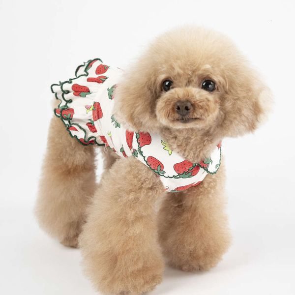 

the dog clothes spring and summer pet clothes strawberry couple doll collar t-shirt dog dress two legged jacket