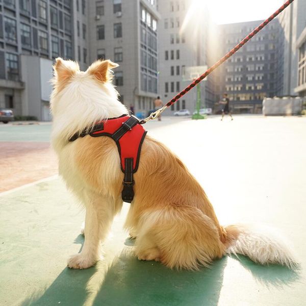 

dog collars & leashes pet harness adjustable breathable puppy cat mesh vest collar chest strap leash products