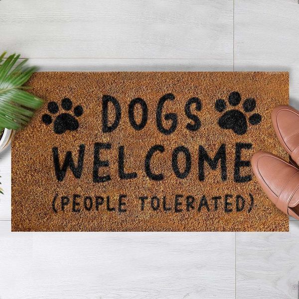 

carpets coir welcome mats for front door funny indoor cartoon entrance doormats rugs home bath living room stair
