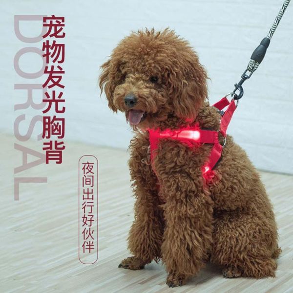 

dog collars & leashes pet cat products led illuminate lumious leads harnesses goods