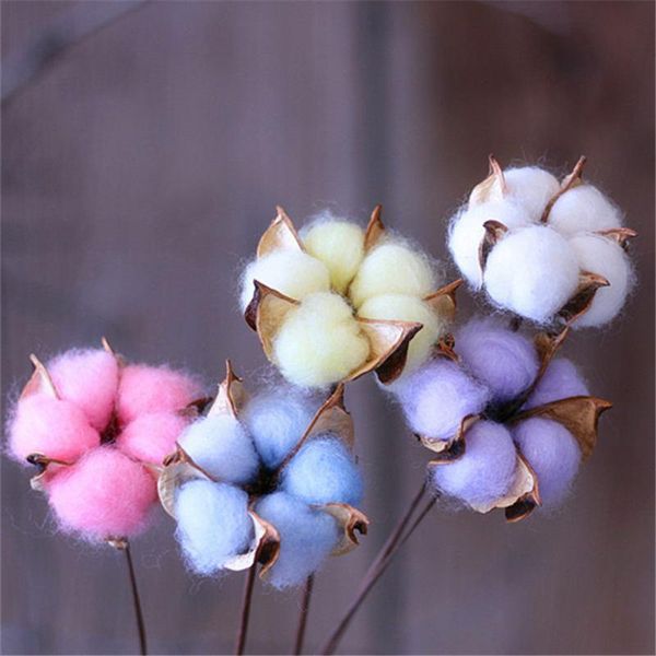 

doreenbeads handmade natural dried cotton flower head branch wedding party deskdecoration pobooth props 60 cm 1 pc decorative flowers &