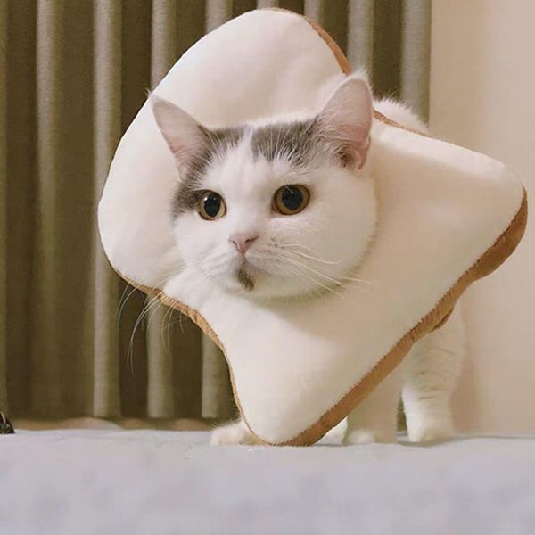 

cat costumes hooqict hat kitten puppy accessories soft headdress toast shape headgear dog costume protective collar pet supplies