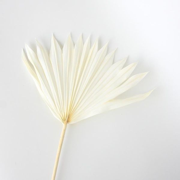 

decorative flowers & wreaths natural dry cattail fan palm plants sunflower leaf wedding accessories home decor diy flower arrangement materi