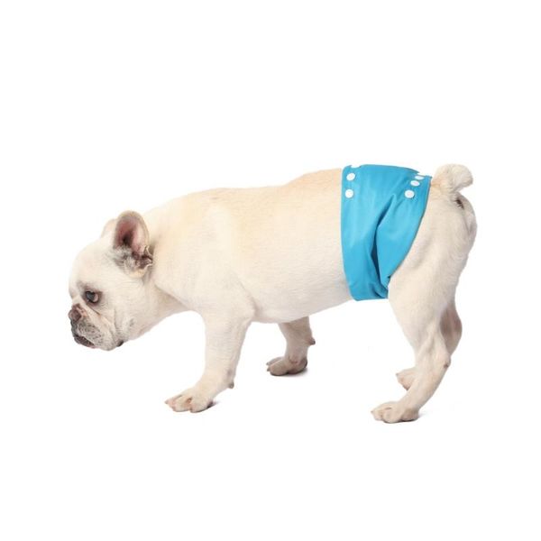 

dog apparel reusable washable shorts doggie diaper durable comfortable stylish