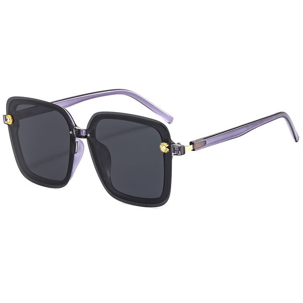 Mode Sonnenbrillen Top Qualität Sonnenbrille für Mann Frau Polarisierte UV400 Linsen Leder Fall Tuch Box Zubehör