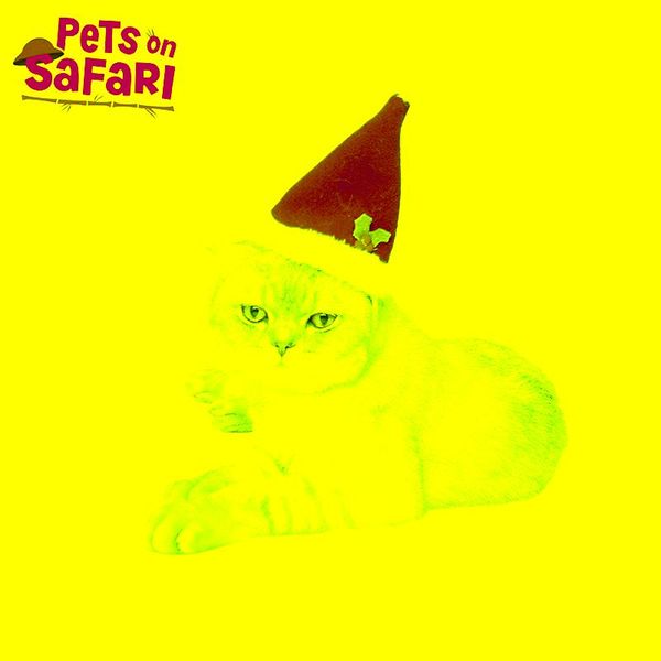 

plush red christmas cat dog hat santa claus cosplay costume xmas decoration party supplies pet accessories costumes