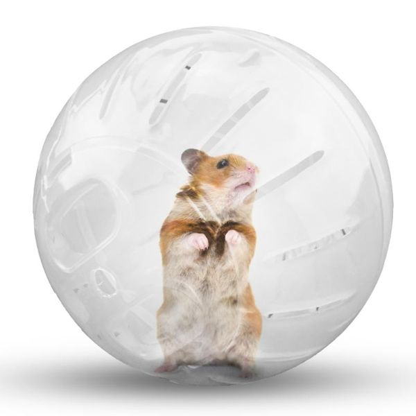 

small animal supplies toy play house exercise pet mice clear trot ball portable hamster plastic mini jogging
