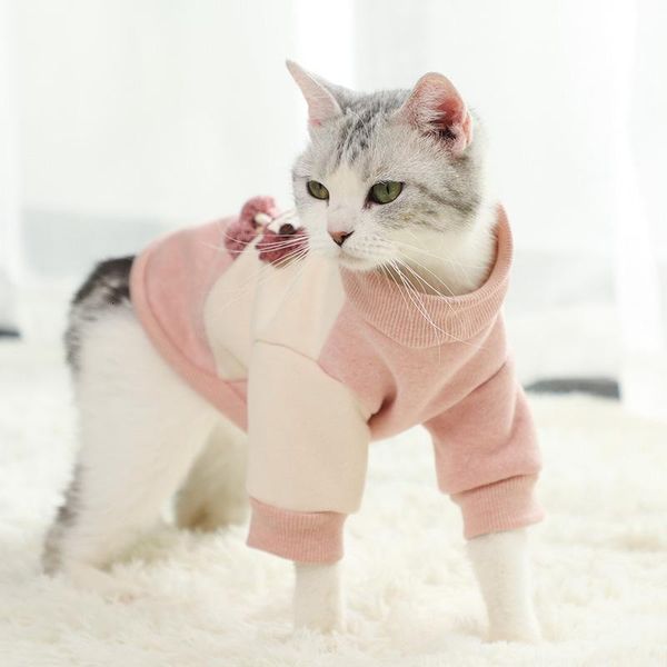 

dog apparel pets clothes for yorkies cat clothing teddy lovely hoodie winter dogs