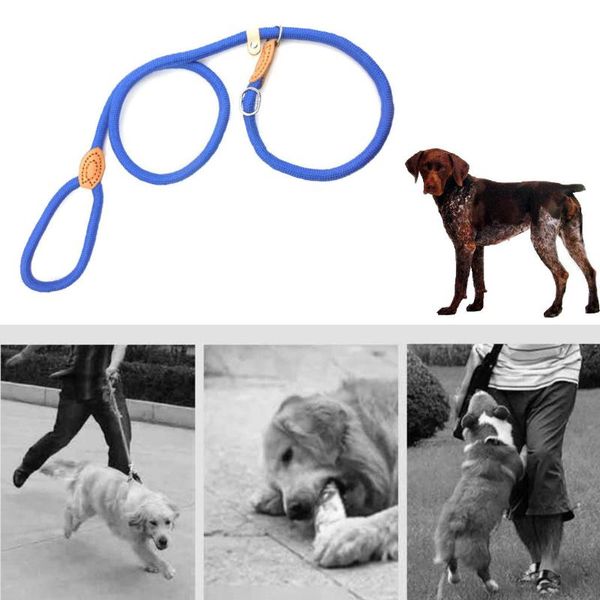 

dog collars & leashes pet leash rope nylon adjustable training lead strap traction harness collar