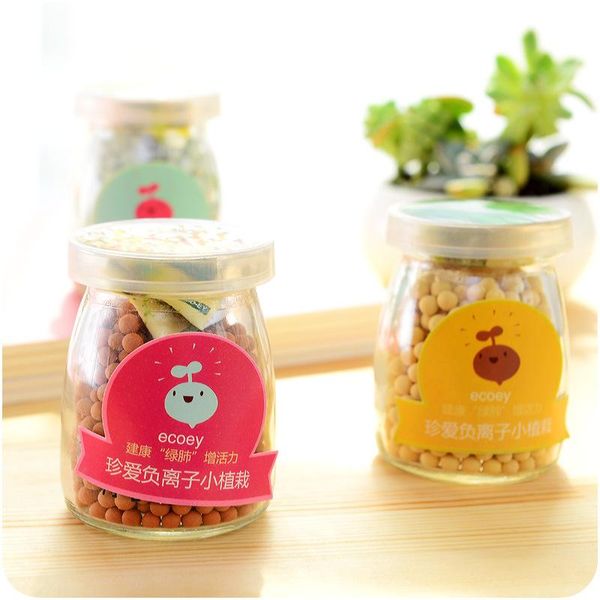 

decorative flowers & wreaths 1836 originality diy anion water culture pot desktiny scenery botany defence radiation mini- small