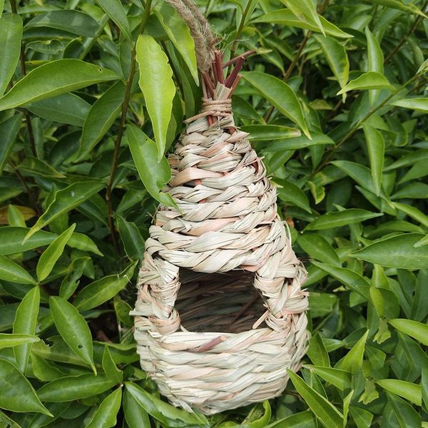 

natural pet bird bed nest canary cage egg container breeding gourd cages small