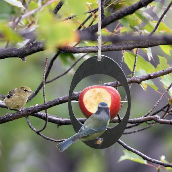 

other bird supplies hanging fruit vegetable feeder outdoor garden tree hummingbird basket container pet toys