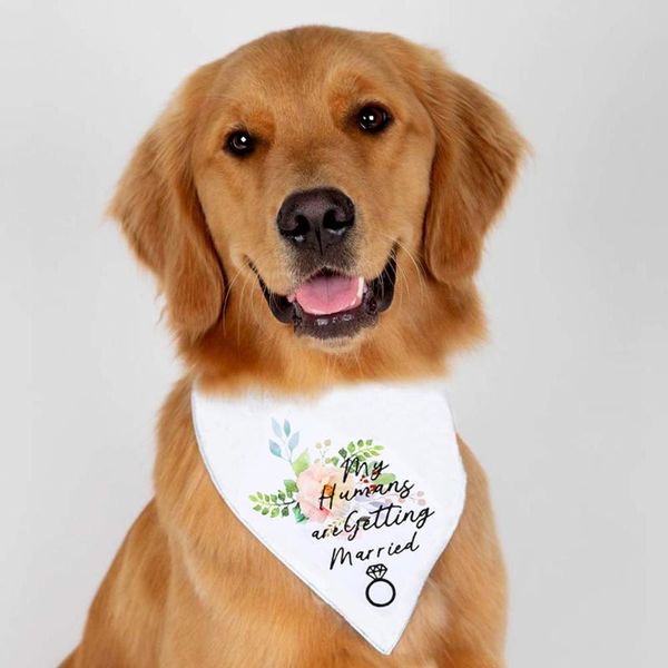 

dog apparel pet wedding bandana white valentine's day saliva towel accessories double cat scarf fashion