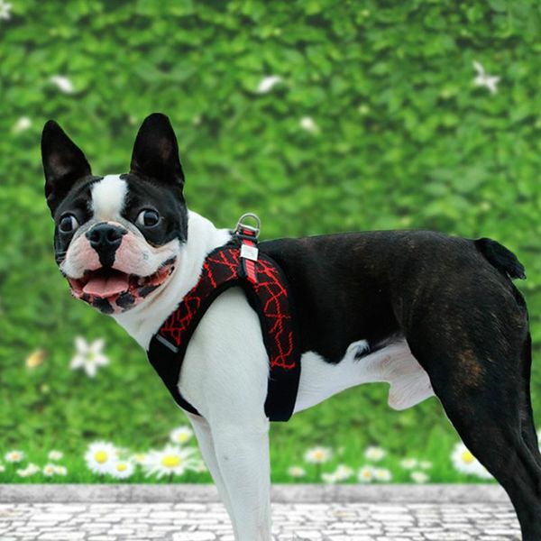 

dog collars & leashes 1pc breathable mesh pet vest leads chest straps for small medium outdoor adjustable soft accessories